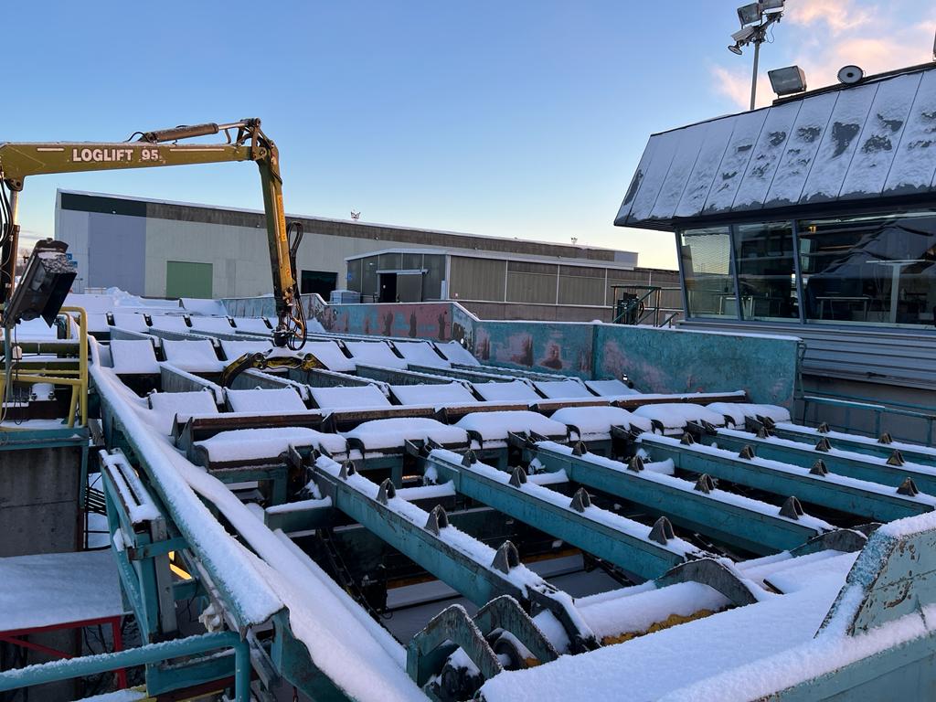 Log sorting line, 40  pockets, 1996, with Finnos Fusion CU2