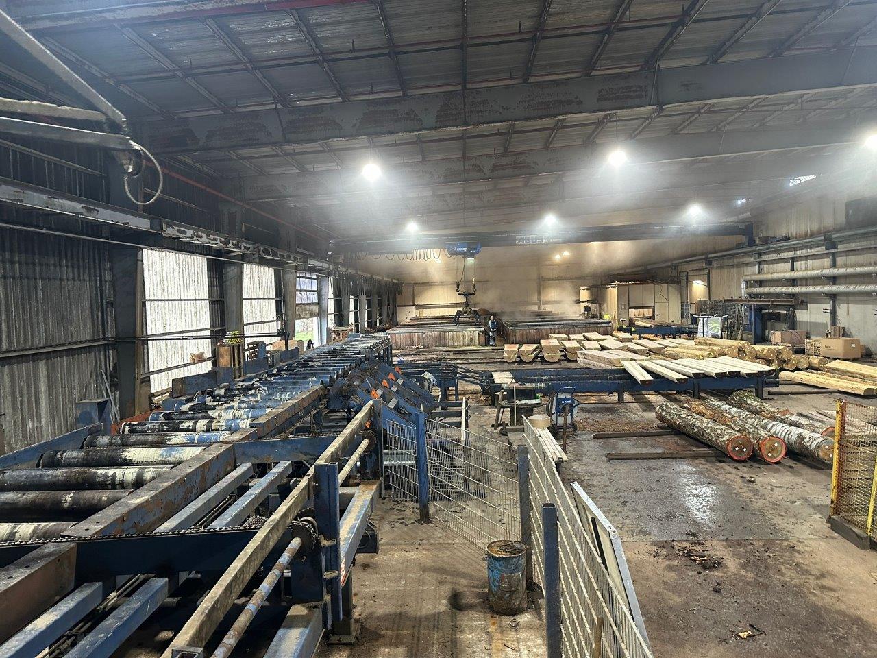 PRIMULTINI Band saw line SIC 1600 – CFE – IFB. Max log 1000 mm, complete conveyors system